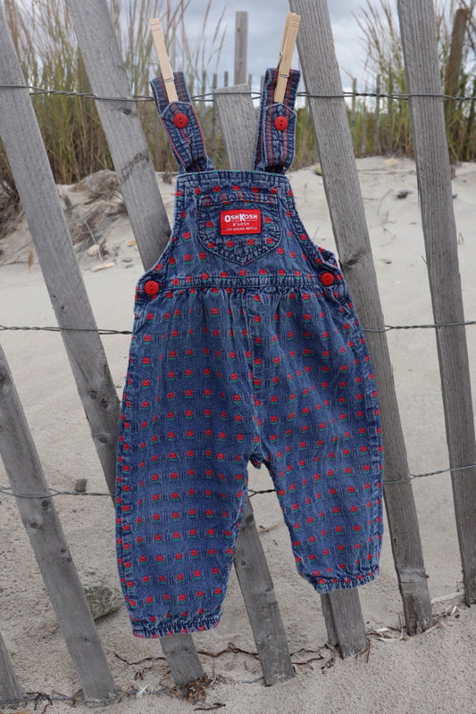 OshKosh B’Gosh Overalls - 18M