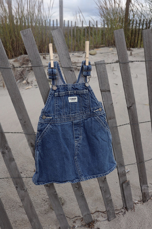OshKosh B’Gosh Dress - 18M